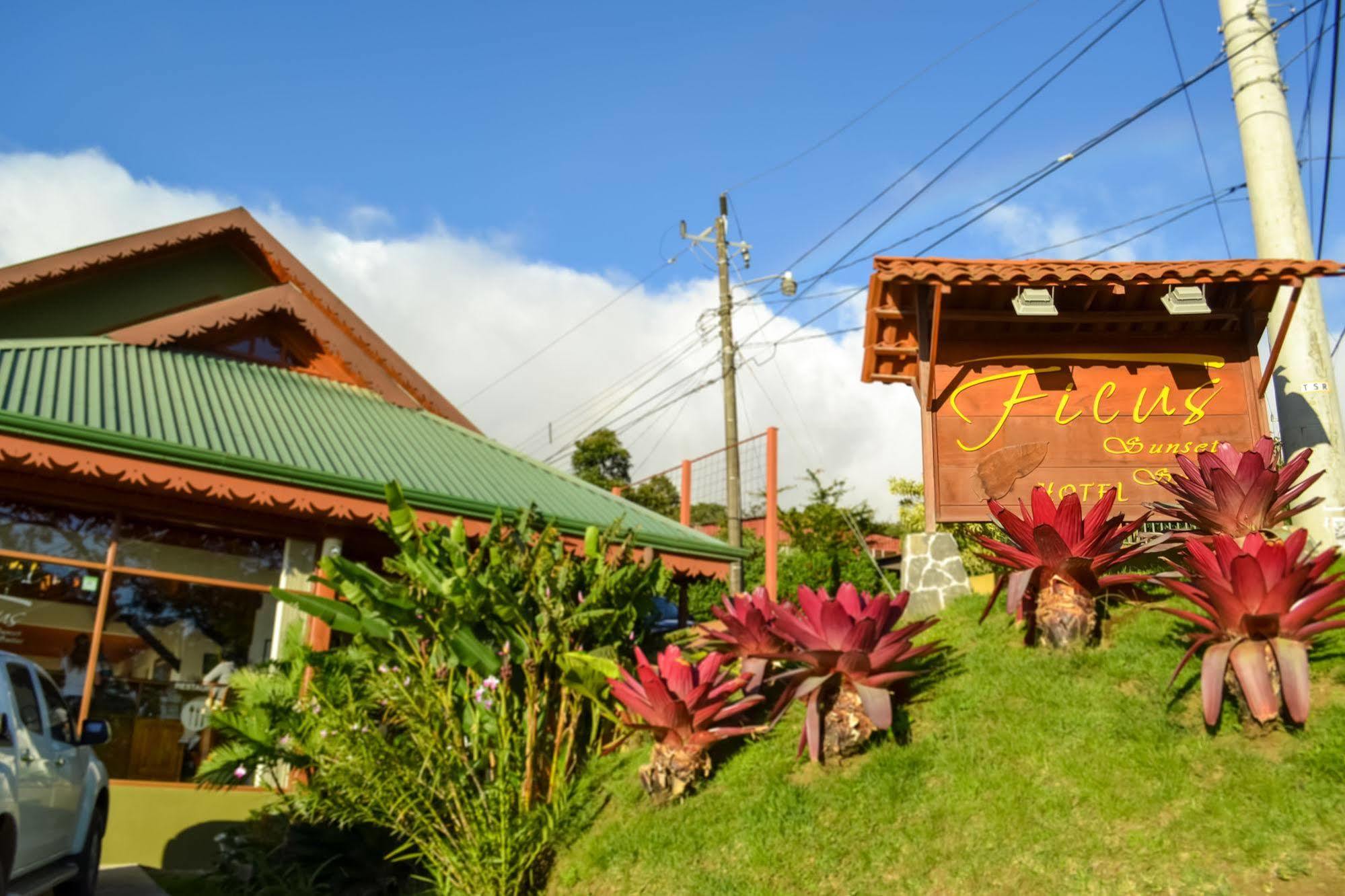Ficus Lodge Monteverde Ngoại thất bức ảnh